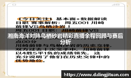 湘南海洋对阵鸟栖砂岩精彩直播全程回顾与赛后分析