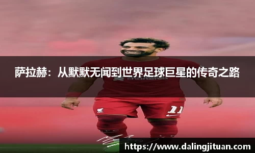 DB视讯