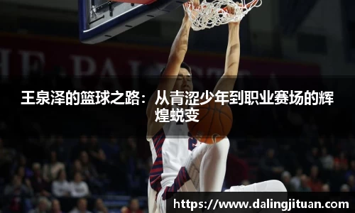 DB视讯官网